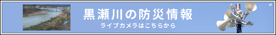 黒瀬川の防災情報ライブカメラ